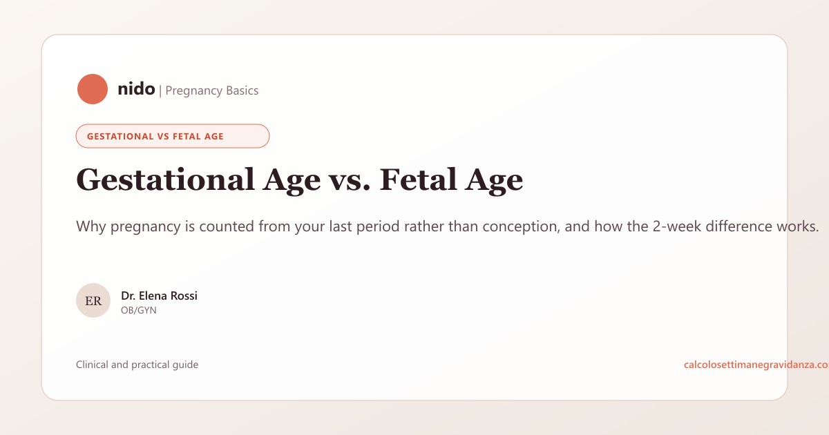 Gestational Age vs. Fetal Age: What's the Difference?